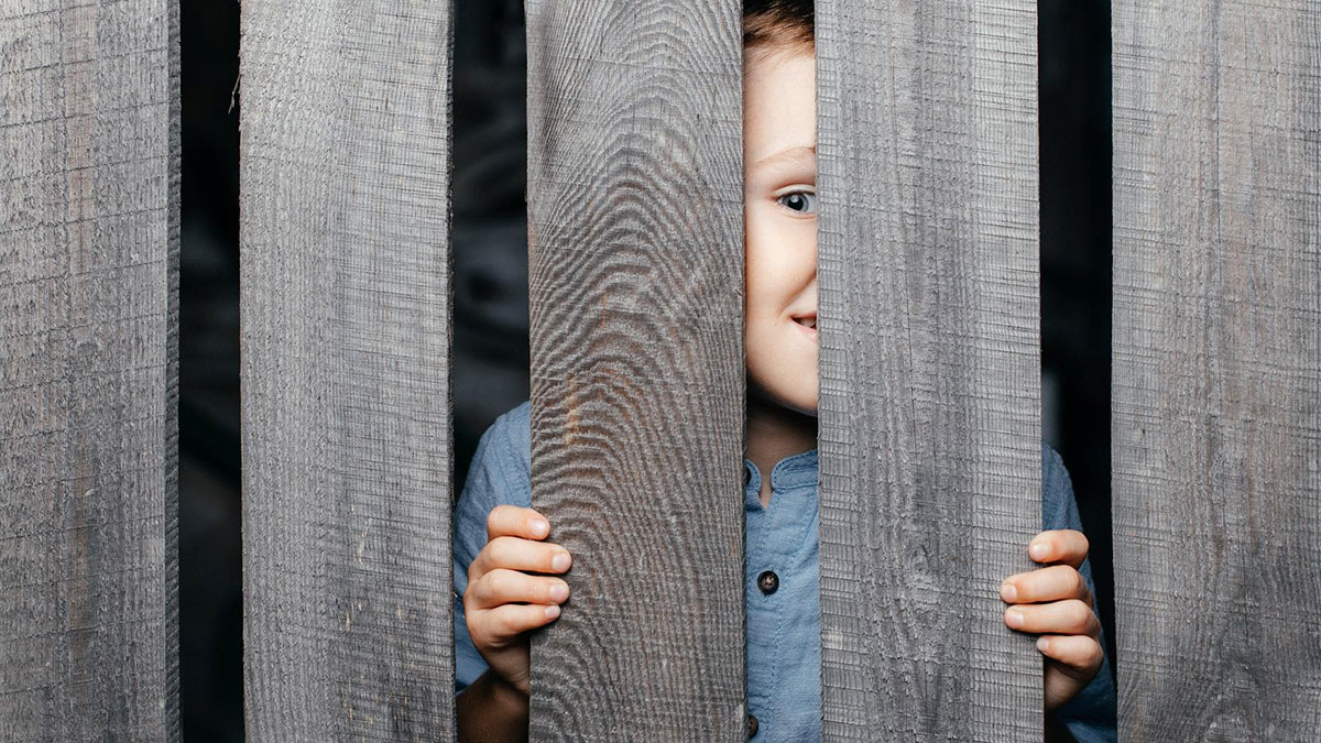 Child peeking through wooden fence slats, illustrating neighboru2019s kid turning fence into fast food window for dogs.
