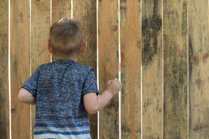 Child peeking through wooden fence turned into fast food window for dogs with woman building barricade nearby Child peeking through wooden fence turned into fast food window for dogs with woman building barricade nearby
