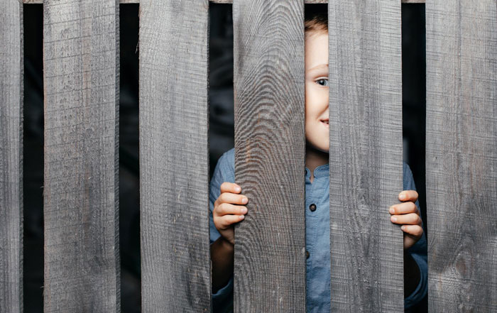 Young boy peeking through wooden fence slats, relating to neighbor’s kid turning fence into fast food window for dogs. Young boy peeking through wooden fence slats, relating to neighbor’s kid turning fence into fast food window for dogs.