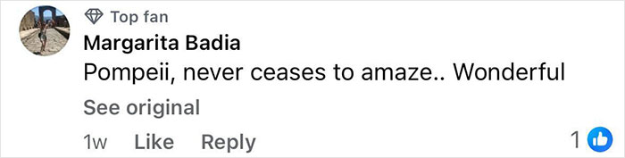Facebook comment by Margarita Badia, labeled Top Fan, expressing amazement at Pompeii and calling it wonderful. Facebook comment by Margarita Badia, labeled Top Fan, expressing amazement at Pompeii and calling it wonderful.