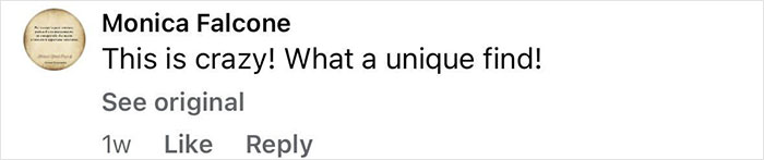 Screenshot of a social media comment expressing amazement about the new Pompeii discovery showing parents’ tragic attempt to shield child. Screenshot of a social media comment expressing amazement about the new Pompeii discovery showing parents’ tragic attempt to shield child.