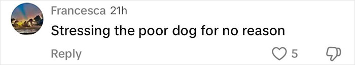 Comment criticizing Sydney Sweeney for stressing a puppy at an event, highlighting cruelty concerns on Met Gala red carpet. Comment criticizing Sydney Sweeney for stressing a puppy at an event, highlighting cruelty concerns on Met Gala red carpet.