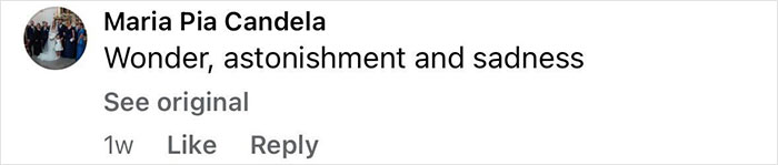 Screenshot of a social media comment expressing wonder, astonishment, and sadness about a new Pompeii discovery showing parents’ tragic attempt to shield child. Screenshot of a social media comment expressing wonder, astonishment, and sadness about a new Pompeii discovery showing parents’ tragic attempt to shield child.