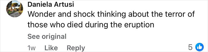Comment by Daniela Artusi expressing shock about the terror of those who died during the Pompeii eruption. Comment by Daniela Artusi expressing shock about the terror of those who died during the Pompeii eruption.