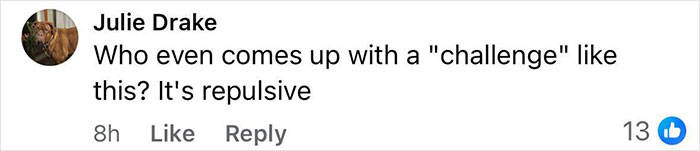 Comment by Julie Drake expressing repulsion about a challenge, shown in a social media post. Comment by Julie Drake expressing repulsion about a challenge, shown in a social media post.