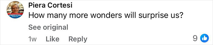 Screenshot of a social media comment reacting to the New Pompeii discovery showing parents’ tragic attempt to shield child. Screenshot of a social media comment reacting to the New Pompeii discovery showing parents’ tragic attempt to shield child.