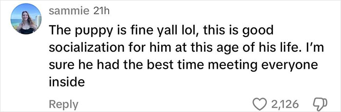 Comment defending Sydney Sweeney for parading puppy at Met Gala red carpet, highlighting good socialization benefits. Comment defending Sydney Sweeney for parading puppy at Met Gala red carpet, highlighting good socialization benefits.