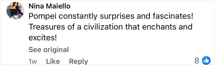 Comment by Nina Maiello expressing fascination with Pompeii’s civilization and its surprising treasures. Comment by Nina Maiello expressing fascination with Pompeii’s civilization and its surprising treasures.