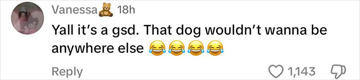 Comment on social media criticizing Sydney Sweeney for bringing a puppy to the Met Gala red carpet. Comment on social media criticizing Sydney Sweeney for bringing a puppy to the Met Gala red carpet.