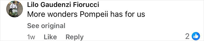 Comment by Lilo Gaudenzi Fiorucci stating more wonders Pompeii has for us, reflecting on new Pompeii discovery. Comment by Lilo Gaudenzi Fiorucci stating more wonders Pompeii has for us, reflecting on new Pompeii discovery.