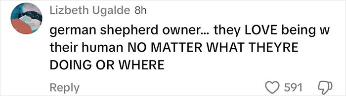 Social media comment criticizing Sydney Sweeney for parading her puppy on the Met Gala red carpet, calling it cruel. Social media comment criticizing Sydney Sweeney for parading her puppy on the Met Gala red carpet, calling it cruel.