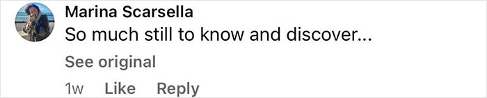 Comment by Marina Scarsella reflecting on ongoing Pompeii discoveries and their emotional impact on parents' tragic attempt to shield child. Comment by Marina Scarsella reflecting on ongoing Pompeii discoveries and their emotional impact on parents' tragic attempt to shield child.