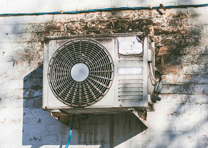 45 Times Adults Didn't Know Very Basic Things And Someone Had To Give Them A Reality Check