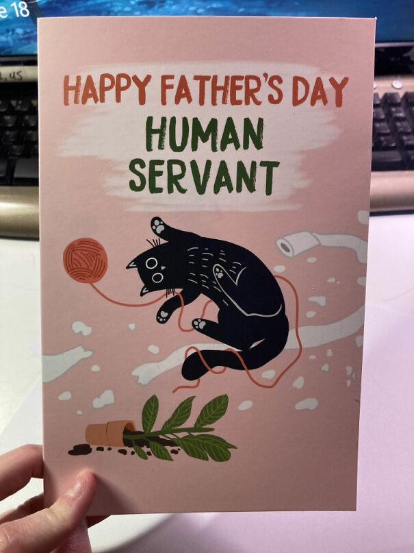 cat_father_day-68283778b3aa0.jpg