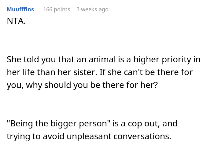 Comment discussing maid of honor missing sister’s wedding due to prioritizing lost dog over family event. Comment discussing maid of honor missing sister’s wedding due to prioritizing lost dog over family event.
