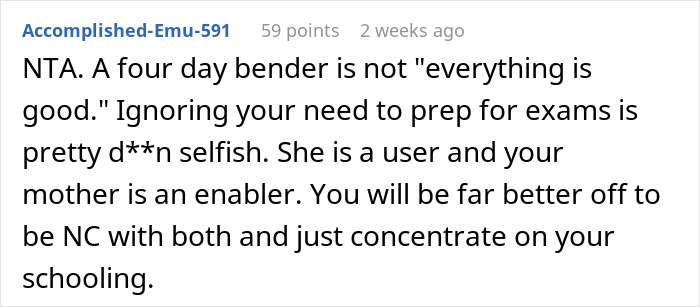 Screenshot of a Reddit comment discussing an 18-year-old left with two kids for days by sister, highlighting family and responsibility issues. Screenshot of a Reddit comment discussing an 18-year-old left with two kids for days by sister, highlighting family and responsibility issues.