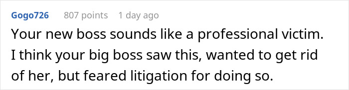 Screenshot of an online comment discussing a boss accusing an employee of bullying by asking questions and the employee following protocol. Screenshot of an online comment discussing a boss accusing an employee of bullying by asking questions and the employee following protocol.