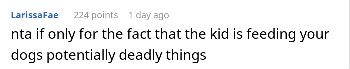 Comment explaining the neighbor’s kid feeding dogs from fence, prompting woman to build barricade to stop the fast food window behavior.