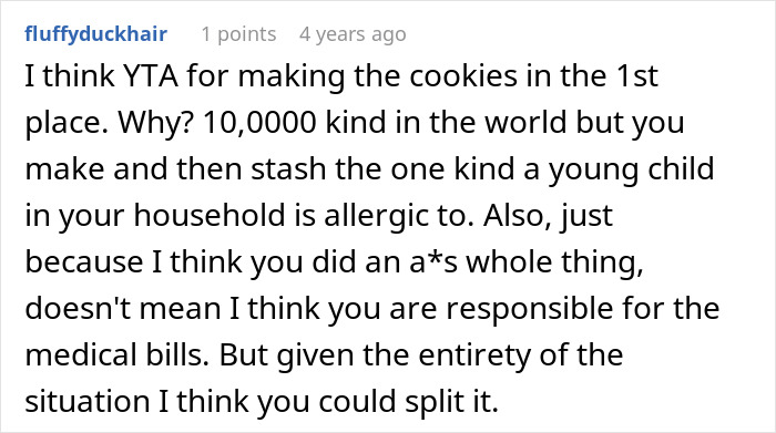 Comment discussing responsibility for medical bills after roommate's son had an allergic reaction in a shared household. Comment discussing responsibility for medical bills after roommate's son had an allergic reaction in a shared household.