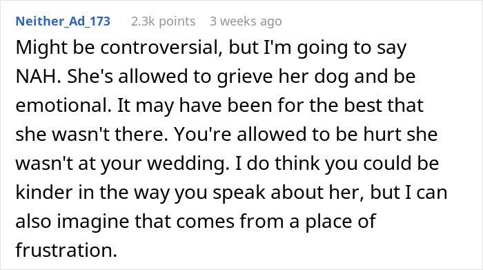 Screenshot of a Reddit comment discussing maid of honor missing sister’s wedding after losing dog and wedding frustrations. Screenshot of a Reddit comment discussing maid of honor missing sister’s wedding after losing dog and wedding frustrations.