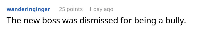Screenshot of a Reddit comment reading the new boss was dismissed for being a bully. Screenshot of a Reddit comment reading the new boss was dismissed for being a bully.