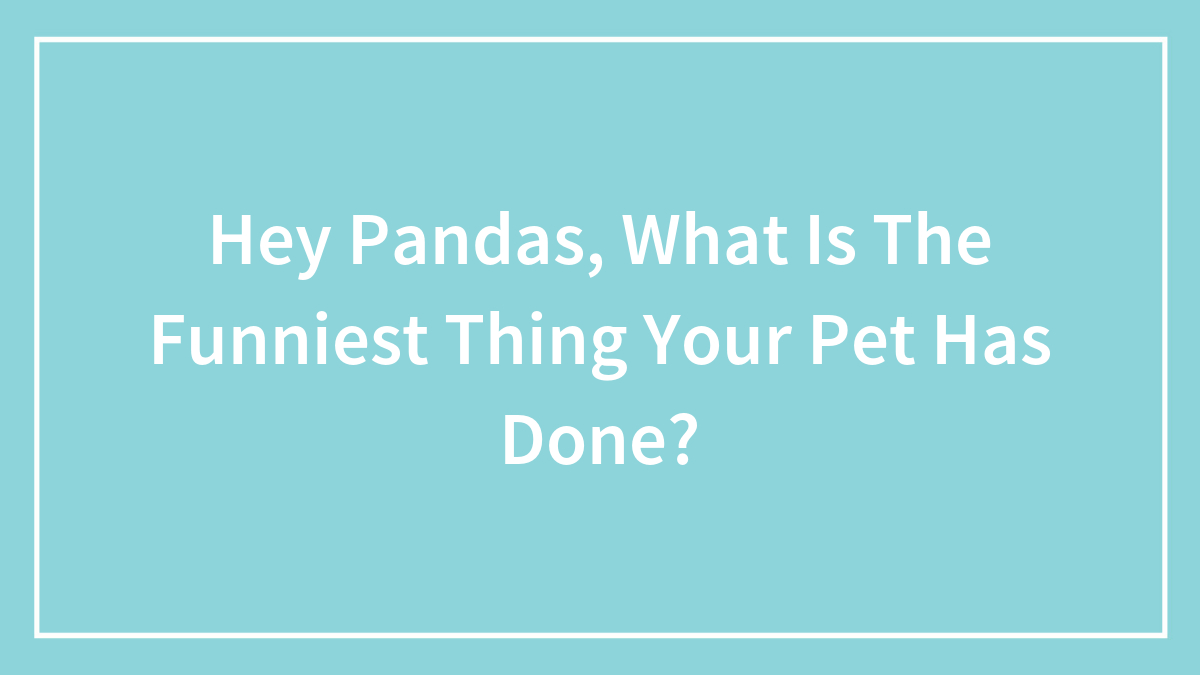 Light blue background with white text asking about the funniest thing a pet has done for pet humor discussion.