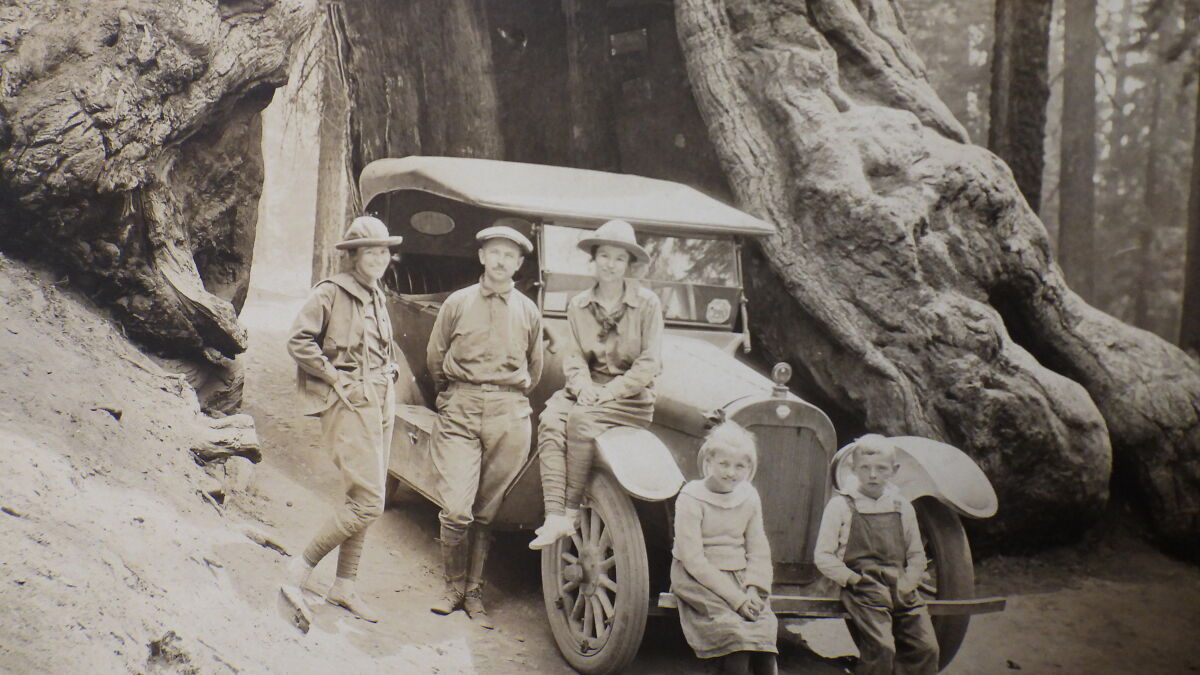 Vintage black and white photo of people posing with an early model car near large tree roots in a forest setting.