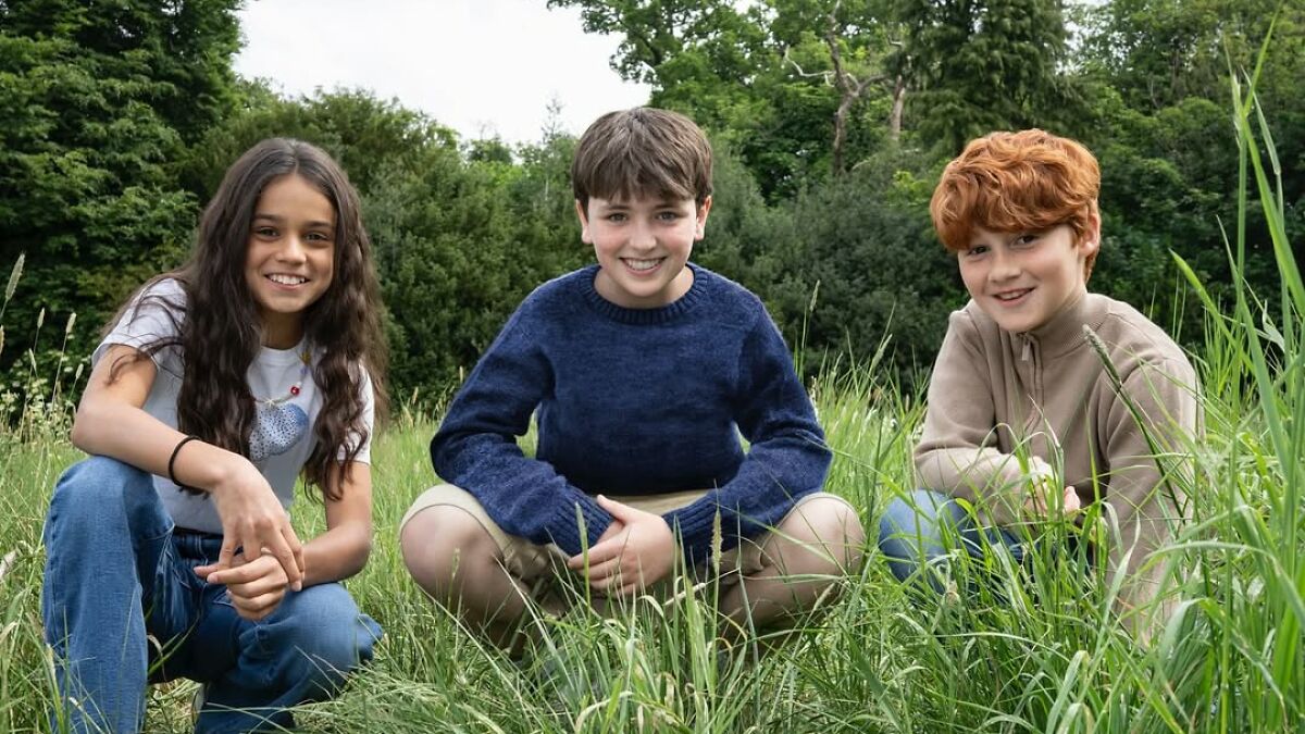 New cast for Harry Hermione and Ron sitting in grassy field with trees in background for Harry Potter series.
