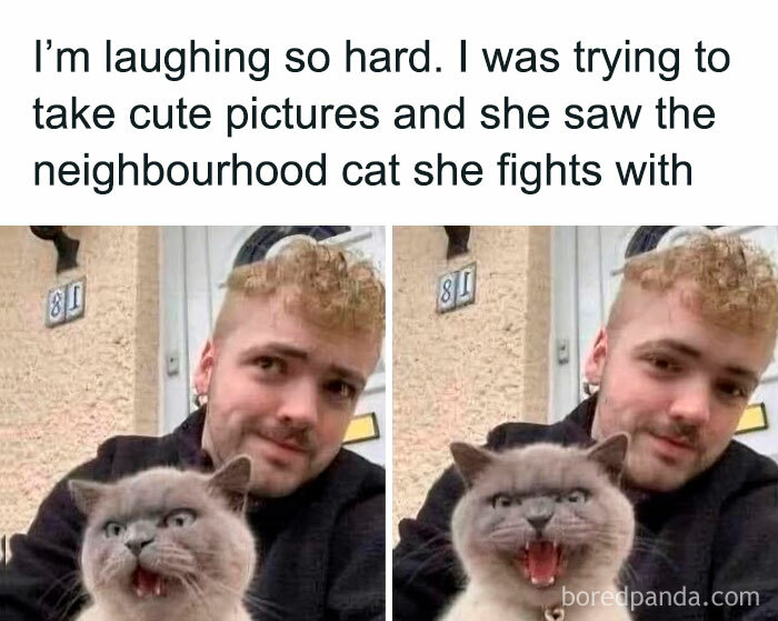 Man taking photos with adorable cat making funny faces, showcasing the charm of adorable animals and instant smiles.