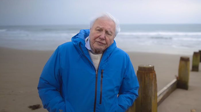 David Attenborough wearing a blue jacket by the sea, promoting fish and cheese diet over red meat for longevity. David Attenborough wearing a blue jacket by the sea, promoting fish and cheese diet over red meat for longevity.