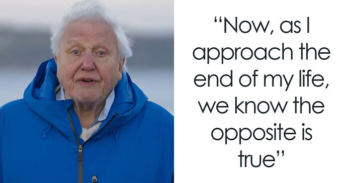 “He Looked After The Planet”: David Attenborough Shares Devastating Confession In New Documentary