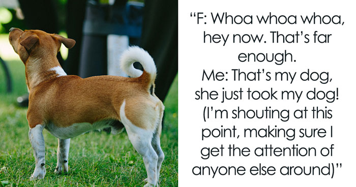 Entitled Family In Park Thinks They Can Just Snatch Up Dog They Like, Owner Horrified