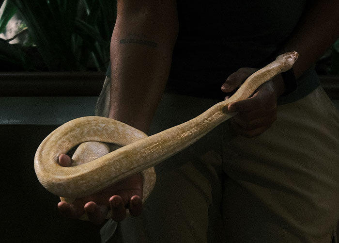 Parents Share The Most Shameful Thing Their Kid Has Done In Public, Here Are The 40 Worst Ones