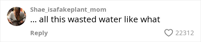 Comment on social media expressing frustration about wasted water, reflecting public reaction to AI job interviews. Comment on social media expressing frustration about wasted water, reflecting public reaction to AI job interviews.