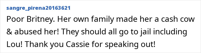Comment expressing support for Britney Spears, mentioning family abuse and a wild party with Diddy during the trial. Comment expressing support for Britney Spears, mentioning family abuse and a wild party with Diddy during the trial.
