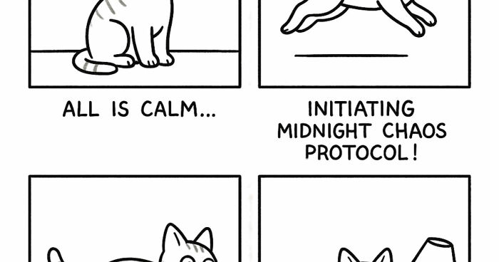 Comic strip showing a pet cat's hilarious behavior with panels of calm and chaotic actions captured by an artist.