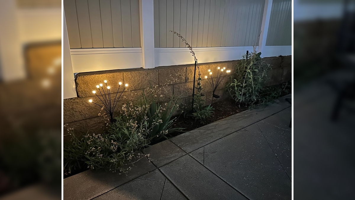 Solar garden lights glowing at night along a flower bed by a fence to enhance your gardenu2019s tiny tantrums.