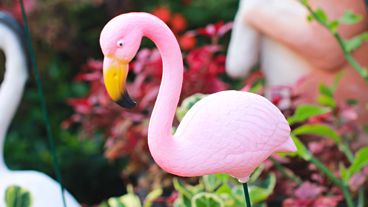 Pink flamingo lawn ornament with colorful garden foliage in the background, representing neighboru2019s pink flamingos conflict.