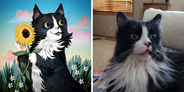 Side-by-side comparison of a whimsical pet portrait and a real cat with wild, sweet, and silly expressions by Chris Beetow.