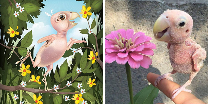 A whimsical pet bird portrait by Chris Beetow showing the wild, sweet, and silly sides of pets.