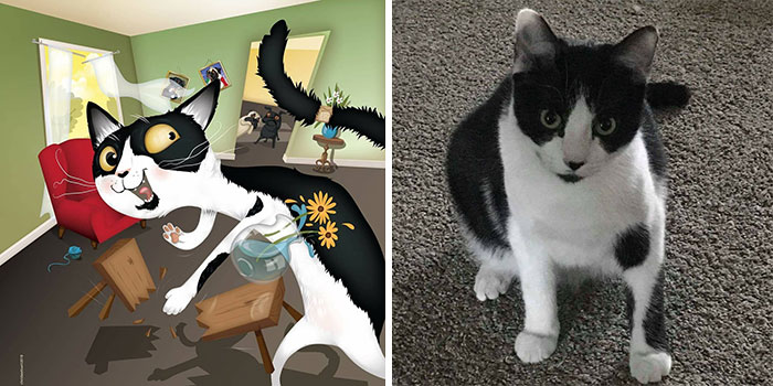 Left image shows a wild, silly black and white cat portrait illustration. Right image shows a real black and white cat sitting on carpet.