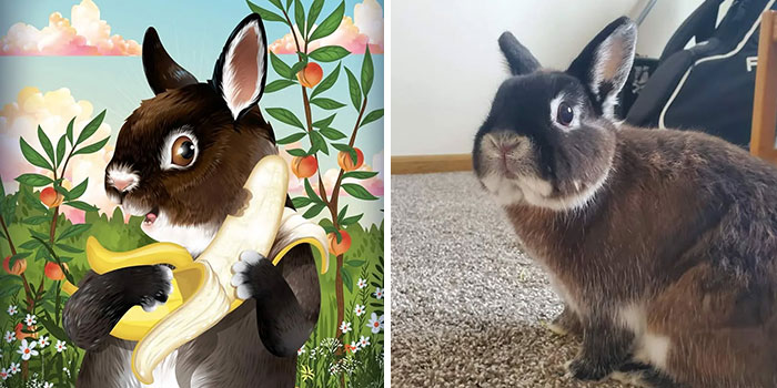 Split image showing a whimsical portrait and a real brown and white rabbit, capturing the sweet and silly sides of pets.