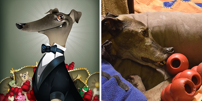Portraits of a greyhound pet showing a playful cartoon version wearing a tuxedo and the real dog relaxing with red toys.