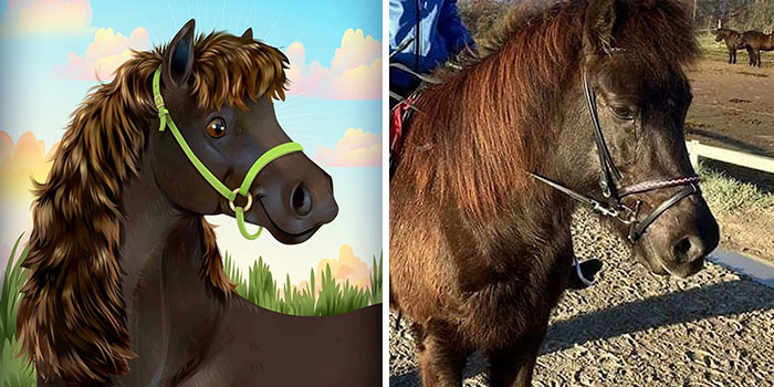 Side-by-side images showing a whimsical pet portrait and photo of a small brown horse highlighting wild and sweet pet expressions.