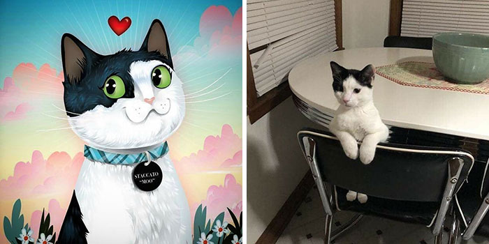 Split image showing a whimsical pet portrait with a heart and a real cat sitting on a chair, capturing wild and silly pet sides.