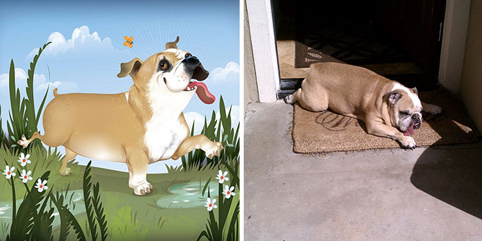 Split image showing a playful digital pet portrait alongside a real dog resting in sunlight, capturing pets’ wild and sweet sides.