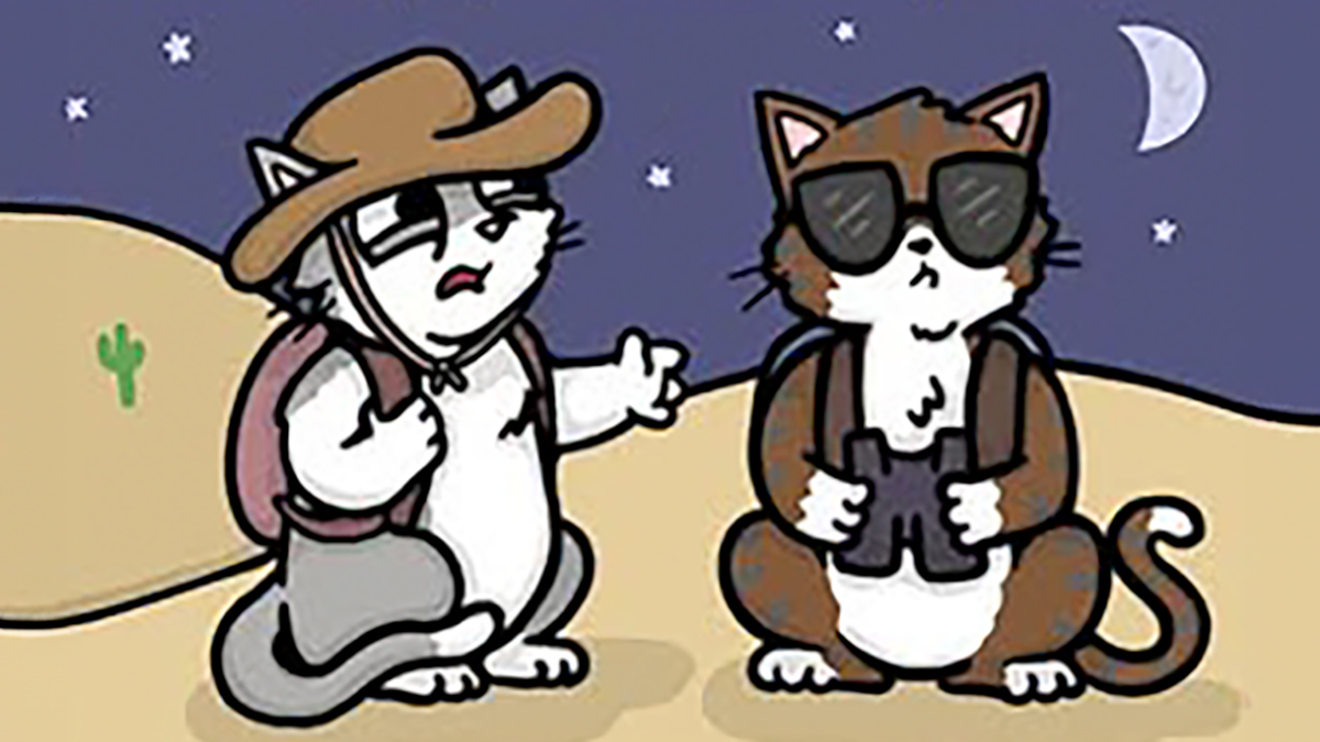 Two cartoon cats in desert at night, one wearing a hat, the other sunglasses, capturing awkward moments in relatable comic style.