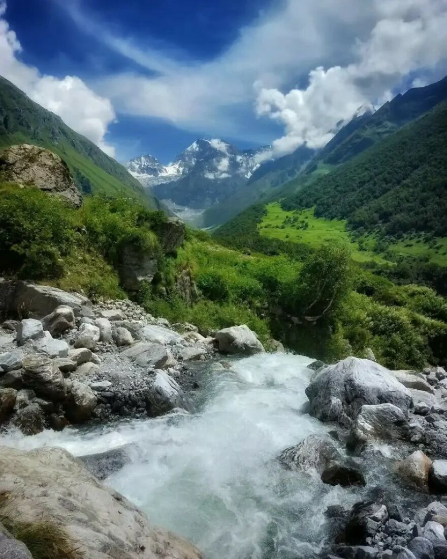 I Hiked Into India’s Valley Of Flowers National Park Expecting Pretty Views — But I Left Completely Changed (And Slightly Obsessed With Wildflowers) I Hiked Into India’s Valley Of Flowers National Park Expecting Pretty Views — But I Left Completely Changed (And Slightly Obsessed With Wildflowers)