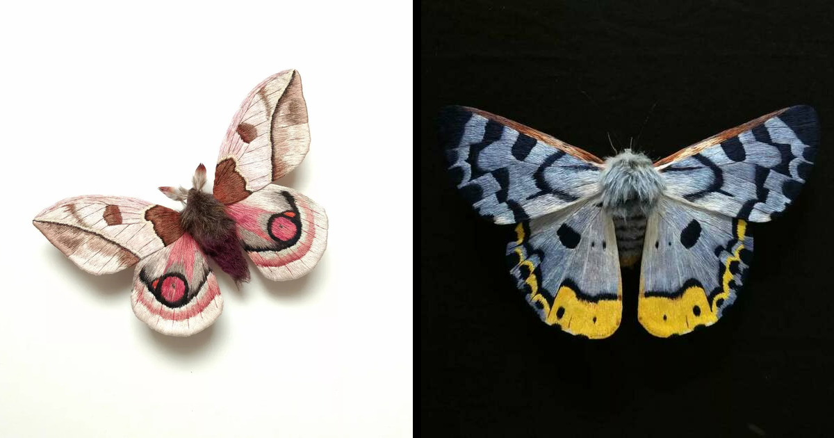 This Artist Creates The Most Beautiful Fiber Moths And Butterflies Photo Inspiration