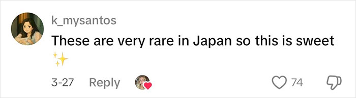 User comment on social media about a rare and sweet moment in Japan, related to a viral Japanese waitress story. User comment on social media about a rare and sweet moment in Japan, related to a viral Japanese waitress story.